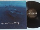 GIN BLOSSOMS Up And Crumbling PROMO Mini-LP 1991 A&M Records Robin Wilson