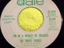 THE SWEET THINGS PROMO 45...I'M IN A WORLD OF TROUBLE...DATE 2-1522