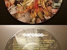 Carcass 'Reek of Putrefaction' Picture Disc (limited to 250)