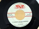 Texas Doo Wop 45 THE MOODS It's Goodbye And Not Goodnight TNT 189