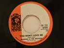 Barbara and the Browns 45 YOU DON'T LOVE ME / IF I CAN'T RUN TO YOU MGM VG+