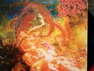 Morbid angel Blessed are the sick vinyl