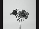 Jlin - Dark Lotus Vinyl Maxi  NEW