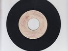 BLANK/ WHAT IS WRONG WITH PRINCE BUSTER  -  MIGHTY VIKINGS (62 SKA 7