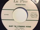 Mack Rice - Baby I'm Coming Home. Rare R&B/Popcorn 45. KILLER