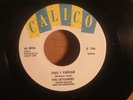 SKYLINERS, THE---THIS I SWEAR  (DooWop 45)