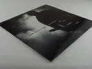 THIN WHITE ROPE - The One That Got Away LP  1°ST US Press  Ex Copy  RARE