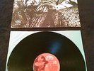 SAVIA ANDINA - VOL. 3 LP RARE PERU M&S RECORDS LPMS 007
