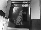 CAIFANES 5 Lp boxset 2017 New reissue ships from USA  ON STOCK