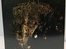 Wolves in the Throne Room - Two Hunters LP 2008 GOLD Vinyl Never Played VG