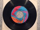 The Parliaments 45 All Your Goodies Are Gone Don't Be Sore At Me EXC Revilot 7