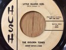 The Golden Tones - Little Island Girl / Doreetha   Hush doo-wop R&B soul dj 45