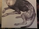 thee oh sees putrifiers II ep