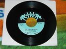 THE VERY-ATIONS she can't be won RINK 45 RARE ALABAMA GARAGE PUNK HEAR
