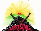 Bob Marley and The Wailers-Uprising  Vinyl / 12