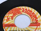 Leroy Smart ' Happiness Is My Desire ' Rare Ja 45' 1975
