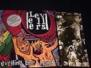 THE LEVELLERS - Levelling The Land - Vinyl LP *Inner Lyrics Sleeve* *WOL 1022*