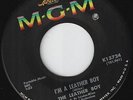 LEATHER BOY-45-