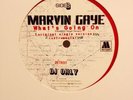 MARVIN GAYE What's Going On USA PROMO 12