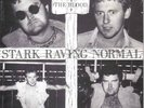 The Blood - Stark Raving Normal 1983 Original Pressing Punk