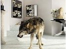 Grinderman 2 - GRINDERMAN [2x LP]