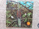 Super Rare Dragonfly ST LP vinyl NM Psych 1968 Megaphone 1st Press