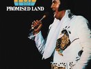 Promised Land - Elvis Presley (Vinyl Used Very Good)