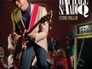 Stone Rollin' by Raphael Saadiq (Vinyl, Apr-2011, Columbia (USA))