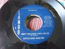 NORTHERN SOUL-  LITTLE CARL  CARLTON  -   DON'T YOU LOVE A BOY LIKE ME -  LANDO