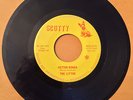 THE LITTER / Action Woman / Legal Matter THIS IS IT  The GRAIL of GARAGE & PSY