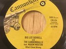 BIG LEE DOWELL   What I Done Wrong   Cannonball modern / northern soul 45 EX