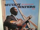 Muddy Waters AT Newport 1960 LP 12