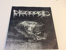 DISGORGE SQUASH BOWELS SPLIT  7