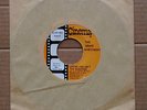 The Sound Investment Loving You rare 1967 US Cinema label Texas garage 45