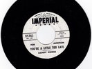 DANNY OWENS  - 45 -  You're A Little Too late                             RARE