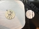 Sarah McLachlan Possession Vinyl 12