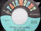 BIG DEE IRWIN northernSOUL popcorn 45 YOU REALLY ARE TOGETHER A SWEET YOUNG F102