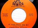 CHARLENE KNIGHT teen girl popcorn rocker 45 IF YOU PASS ME BY IF MY DREAMS F2094