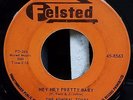 Admiral Tones / Rockabilly 45 / Rocksville Pa / Hey Pretty Baby / Felsted 8563