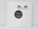 EVANESCENCE Unreleased Recordings LP Vinyl Rare Tracks & Demos RARE korn tool
