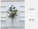 La Dispute  - Tiny Dots Vinyl LP (Very Limited) RSD2016