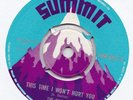 Brent Dowe Gaylads *This Time I Wont Hurt You* UK Summit 45 Skinhead Reggae 1971