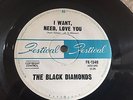 THE BLACK DIAMONDS I want,need,love you/see the way 45 FESTIVAL Garage OZ Punk