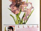 Elvis Werbeplakat 