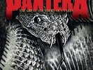 Pantera - The Great Southern Outtakes Vinyl LP NEU 0554062