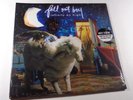 FALL OUT BOY Infinity On High 2xLP SPLATTER VINYL SEALED* panic at the disco