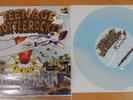 TEENAGE BOTTLEROCKET Having A Blast ERGS BlockHead Split 7