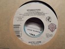WB 45 RECORD/ SPINMASTERS /BUSTIN LOOSE/EVERLAST/SYNDICATION/NR MNT RAP HIP HOP