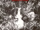 Keith Hudson - Flesh Of My Skin, Blood Of My Blood (LP)