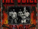 THE V01CE LP 